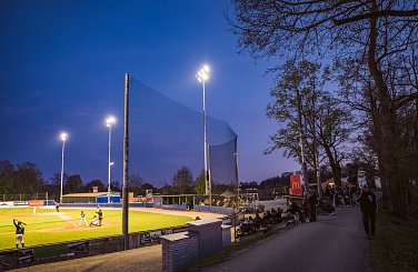 article-image