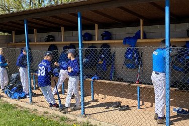 Sokolíci na cestách