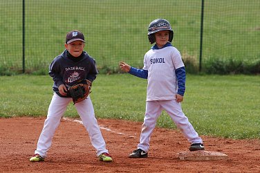 Malí Sokolíci poprvé doma