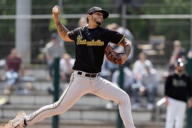 Elitní baseballoví nadhazovači míří pod hlubocký zámek