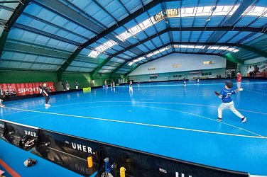 Baseballový výlet do Vídně