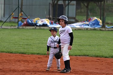 Malí Sokolíci poprvé doma