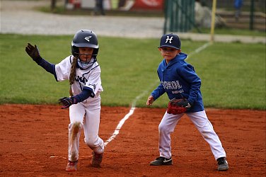 Malí Sokolíci poprvé doma