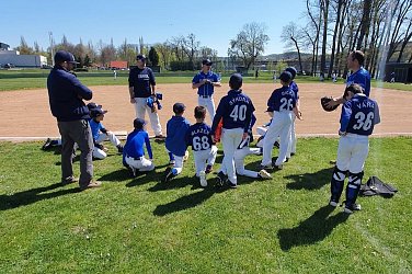 Sokolíci na cestách