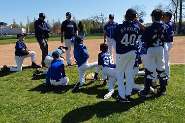 Sokolíci na cestách