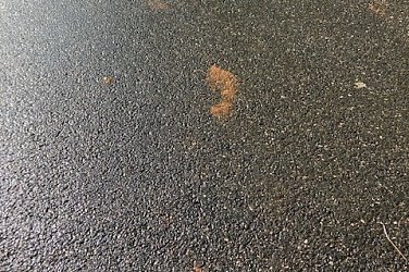 Liga Žákyň – divize Jih